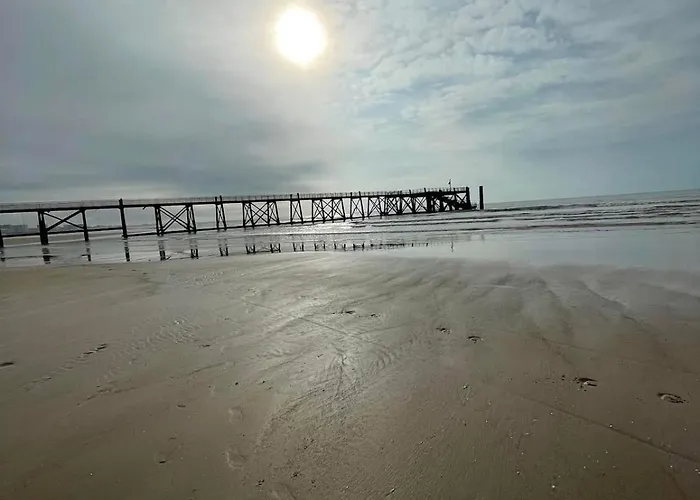 Les Voiles Blanches, T3 Neuf De 53 M2 Appartement